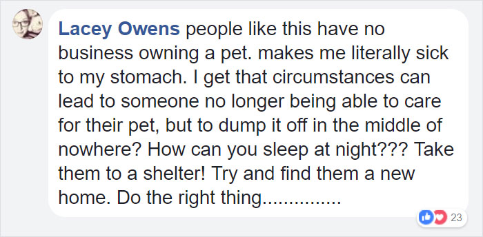 confronted-woman-abandoned-dogs-texas-39 confronted-woman-abandoned-dogs-texas-39