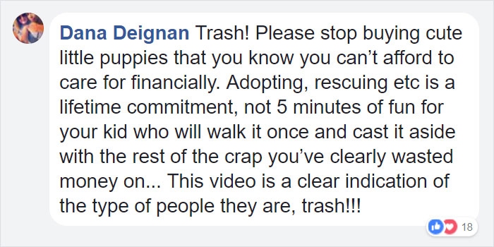 confronted-woman-abandoned-dogs-texas-40