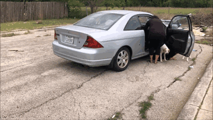 confronted-woman-abandoned-dogs-texas-42 confronted-woman-abandoned-dogs-texas-42