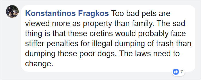 confronted-woman-abandoned-dogs-texas-46 confronted-woman-abandoned-dogs-texas-46