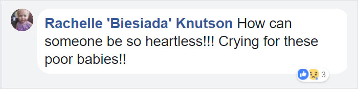 confronted-woman-abandoned-dogs-texas-47 confronted-woman-abandoned-dogs-texas-47