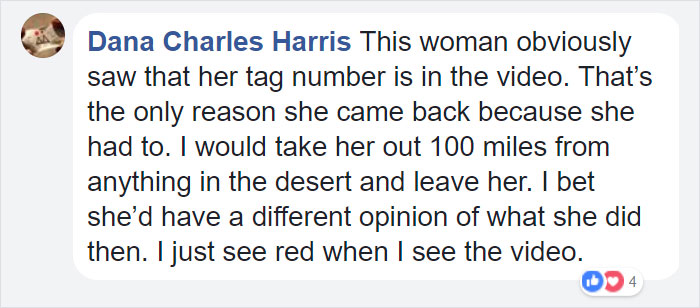 confronted-woman-abandoned-dogs-texas-48 confronted-woman-abandoned-dogs-texas-48