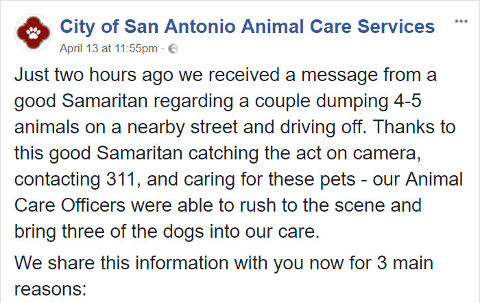 confronted-woman-abandoned-dogs-texas-49 confronted-woman-abandoned-dogs-texas-49