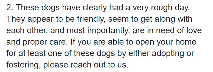 confronted-woman-abandoned-dogs-texas-51