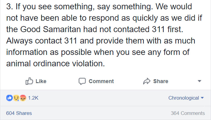 confronted-woman-abandoned-dogs-texas-52