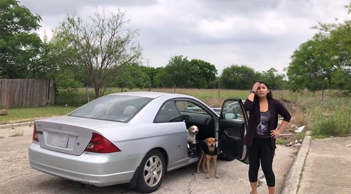 This Woman Was Caught Red-Handed While Dumping Her 4 Dogs, And Got What She Deserved This Woman Was Caught Red-Handed While Dumping Her 4 Dogs, And Got What She Deserved