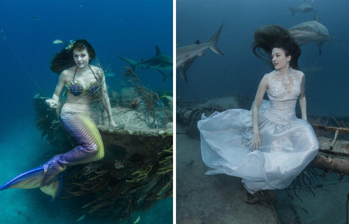 A Mermaid Swimming To Save Sharks