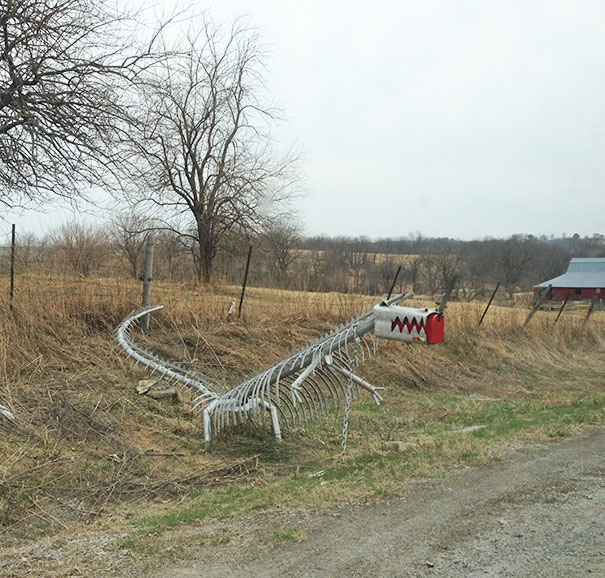 So I Was Driving Down A Country Road When Suddenly A Wild Dragon Mailbox Appears