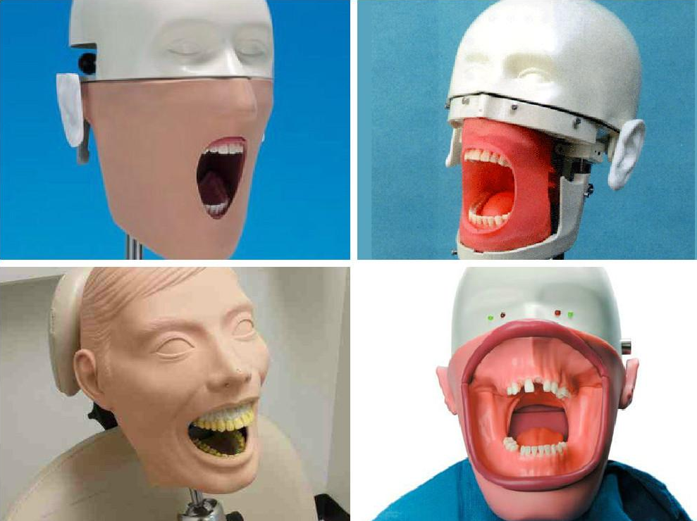 dental-mannequins.png
