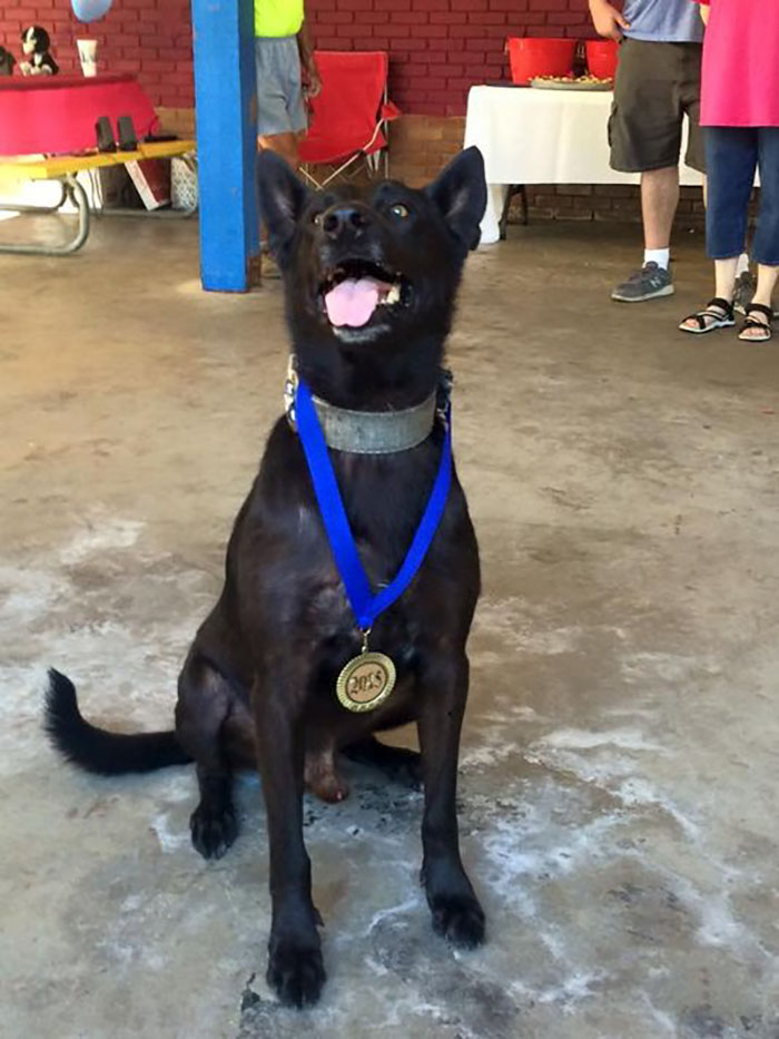 The Gang Who Tried To Kill A Policeman Didn't Expect This Kind Of Backup The Gang Who Tried To Kill A Policeman Didn't Expect This Kind Of Backup