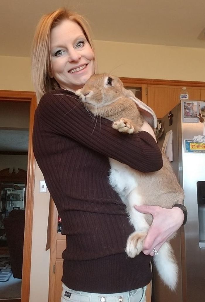 Therapy Rabbits - The Next Generation