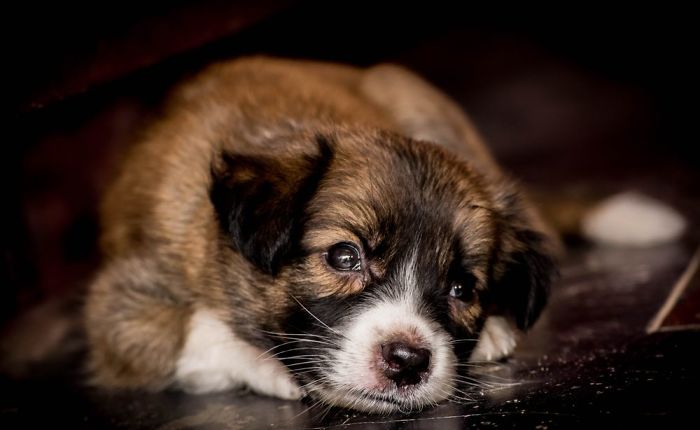 Into The Deep Thouths