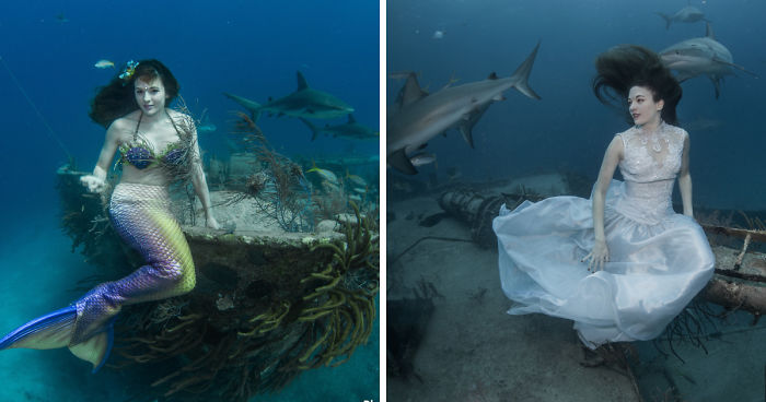 A Mermaid Swimming To Save Sharks