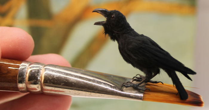 I Can Make A Living Doing What I Love Most And It Makes Me Feel Incredibly Lucky And Happy