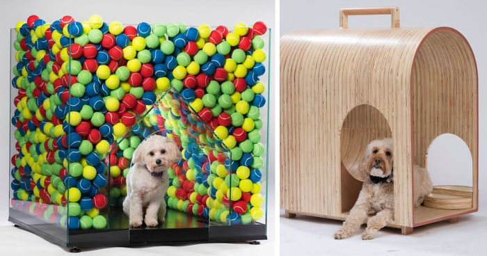 Architects Around The World Design Unique Dog Houses And It’s For A Good Cause