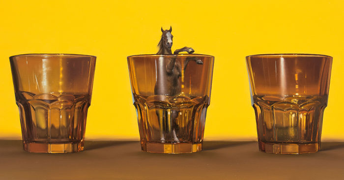 I Paint Unusual Horse Paintings