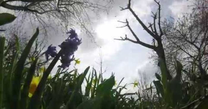 Time Lapse Of April – The Most Beautiful Month In Europe