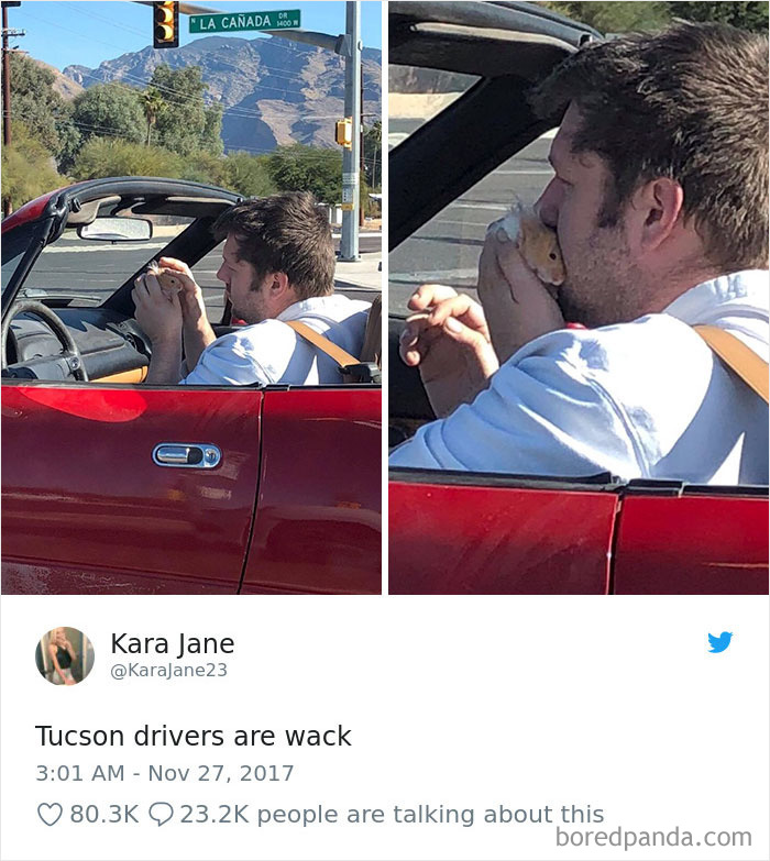 Guy Just Loves His Hamster