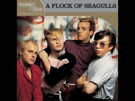 flock-of-seagulls-5ac36a1b7a9ba.jpg
