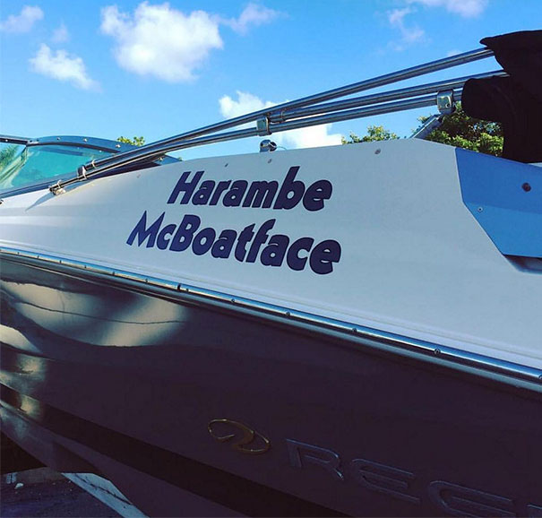 Funny named white and blue boat 