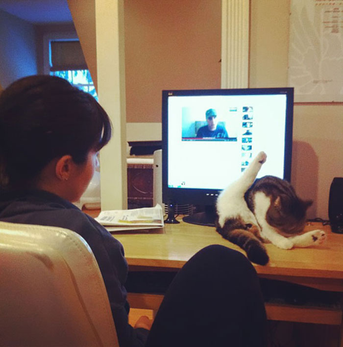 Being Jerks Is What They Do Best