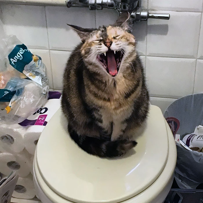 No Use Of The Bathroom For You