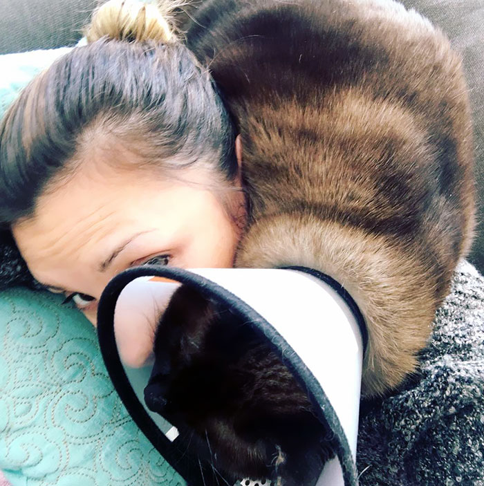 Not Sure Why He Thinks This Is A Good Spot To Nap?