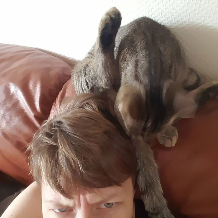 Cats Are Just So Charming