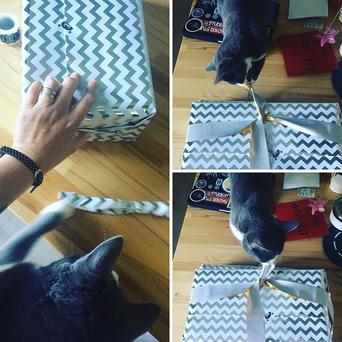 Oh Yey! Gift Wrapping! My Absolute Favorite. Lemme Help You With That