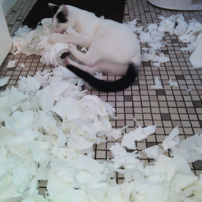 I Did Forget To Post This One Last Night