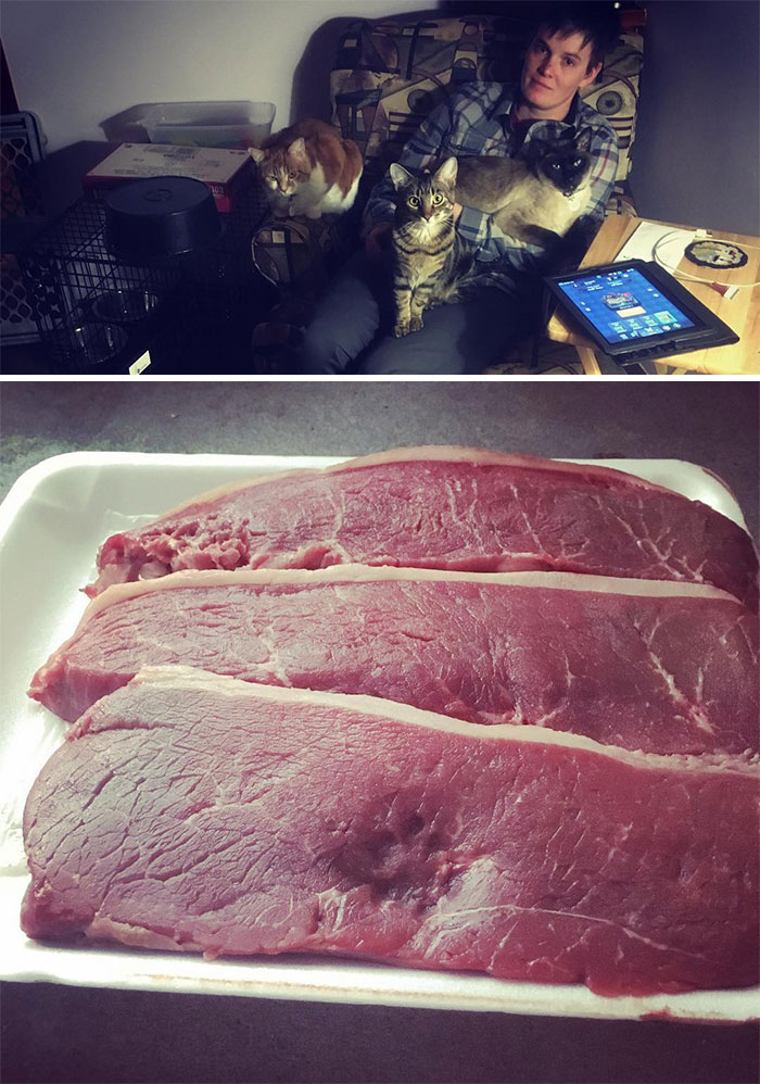 If You Look Carefully You Can See The Paw Print Right In The Middle Of The Steak, And The Savage Omnoms On The Upper Left. Think I Would've Learned By Now Not To Leave Food Unattended