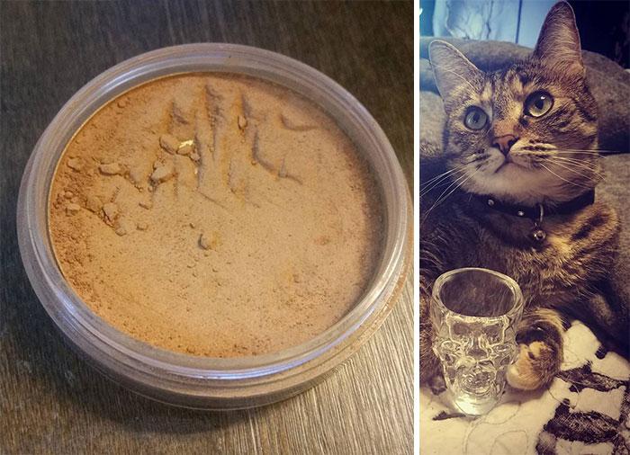 She Clawed My Jane Iredale Foundation