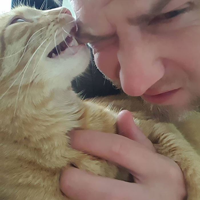 I Still Love This Cat