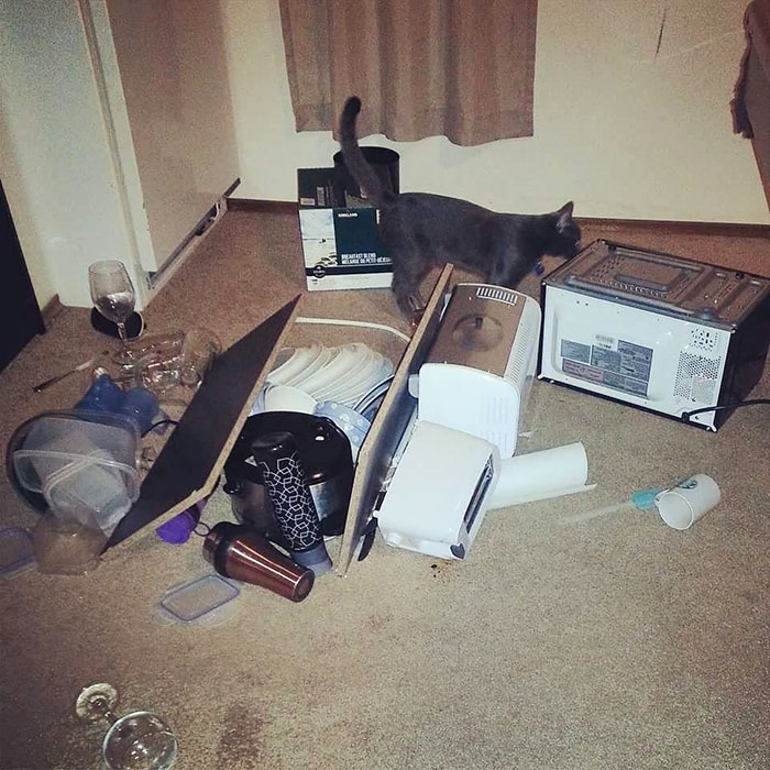 I Still Remember Walking In The Door To This Like It Was Yesterday