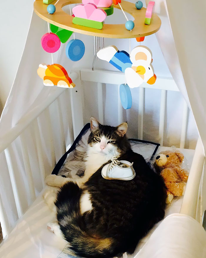 I Will Never Get Out Of Here, Human