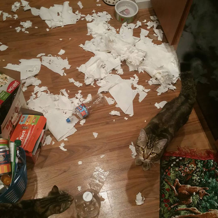 Don't You Know I Love Coming Home To This At 10pm