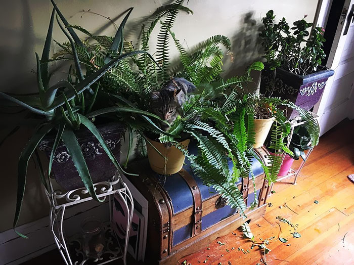 And Then There's This Princess Jerkface