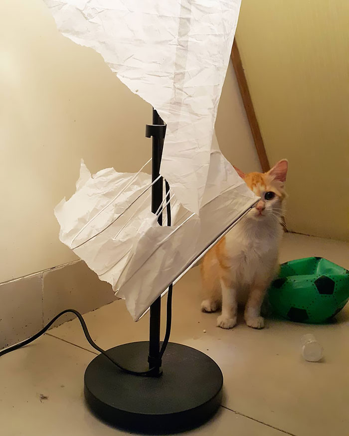 Caught With The Evidence