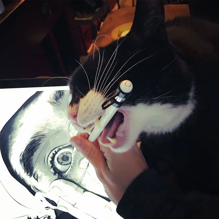 No. Why Are You Like This?