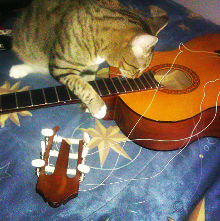 Returning To Scene Of The Crime