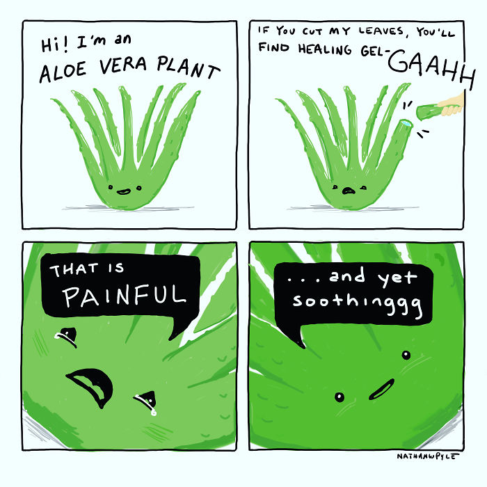 Funny-Comics-Nathanwpyle