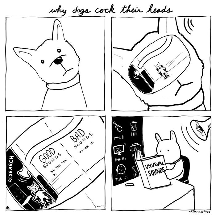 Funny-Comics-Nathanwpyle