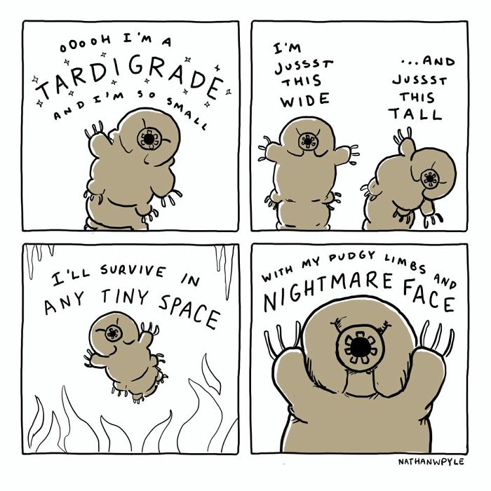 Funny-Comics-Nathanwpyle