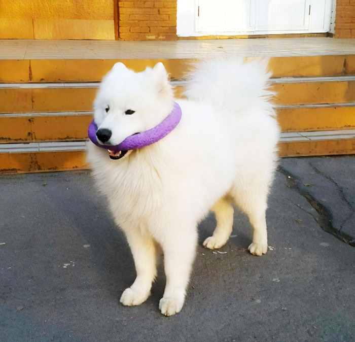 He Definitely Made A Mistake