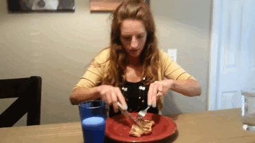 Lexi The Samoyed Eats Dinner At The Table