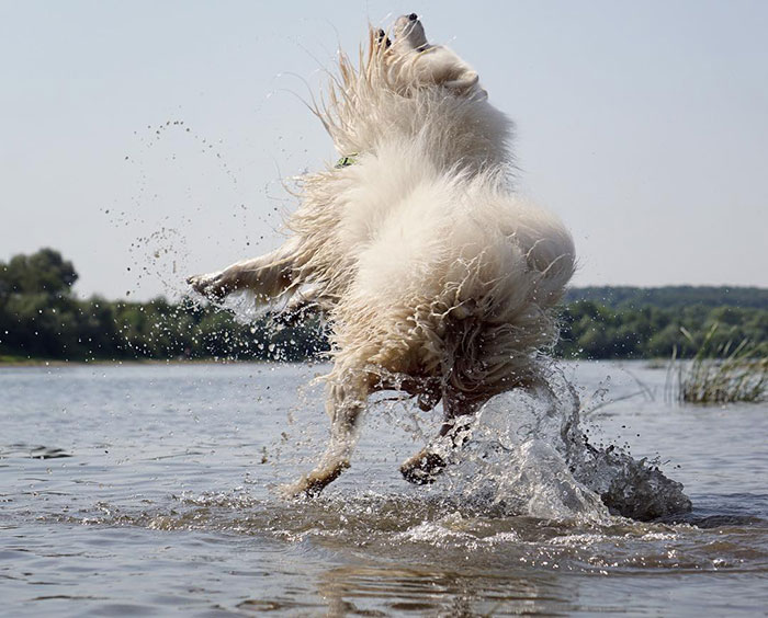 If Anything, I'm Not Familiar With This White Substance