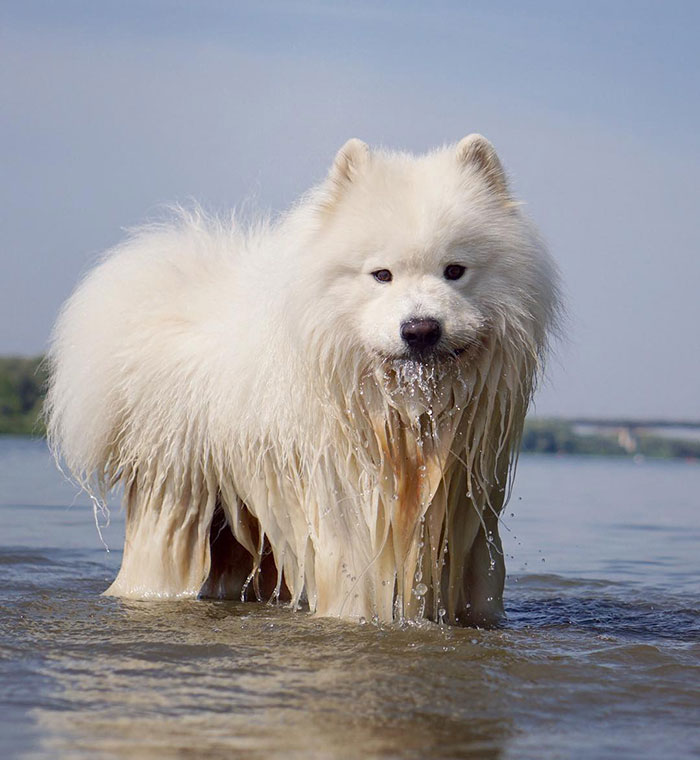 Why Can't I Gobble Up All The Water?