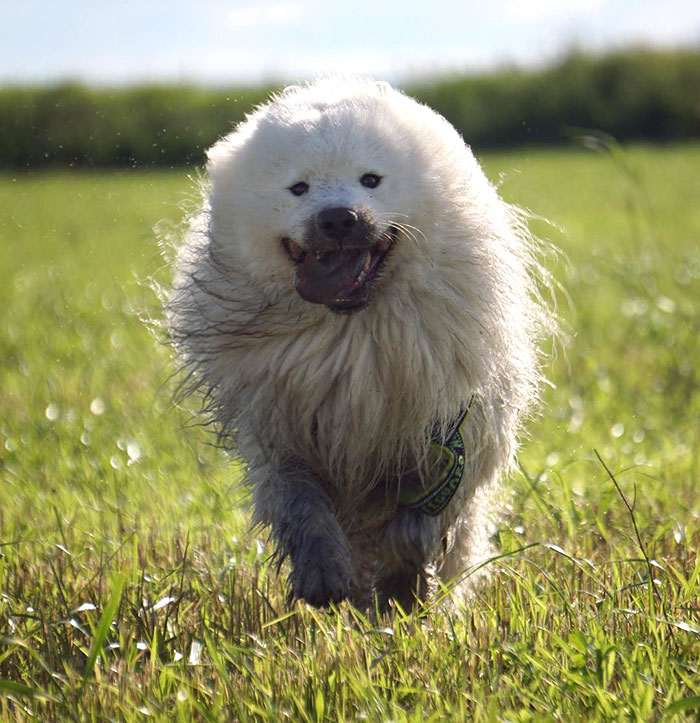 How I Spent The Summer In One Photo