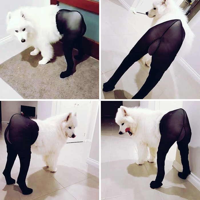 Why You Got To Embarrass Me? I Am Not Impressed