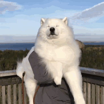 Majestic Cloud